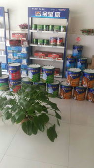 寶瑩漆 專業(yè)涂料加盟與招商代理的明智之選